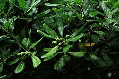 Xbox Series更便宜的1TB扩展卡即将到来