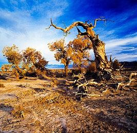 《银翼杀手2033：迷宫》团队集体辞职 但开发仍会继续